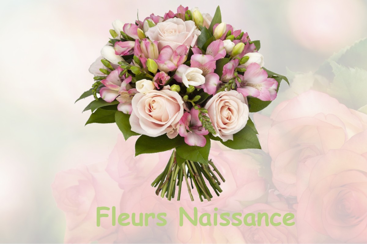 fleurs naissance FOURNEAUX-LE-VAL